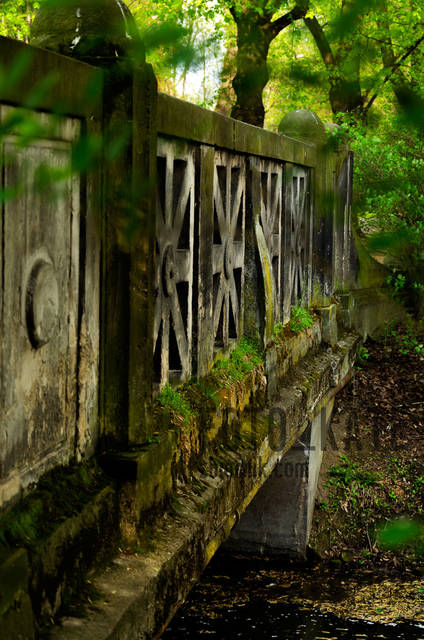 po drugiej stronie - Foto_Kate