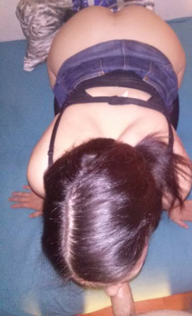 CAM00371.jpg - paraCz20