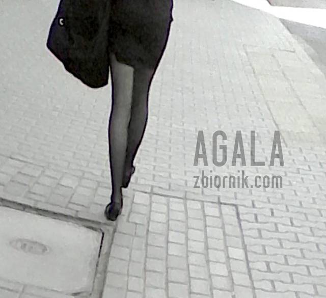 IMG_20140425_140846cz.jpg - AGALA