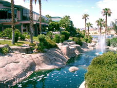 zabiore Cie wlasnie tam