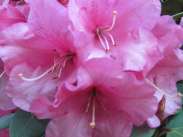 ten kolor coś mi przypomina - wodnik50