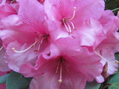 ten kolor coś mi przypomina