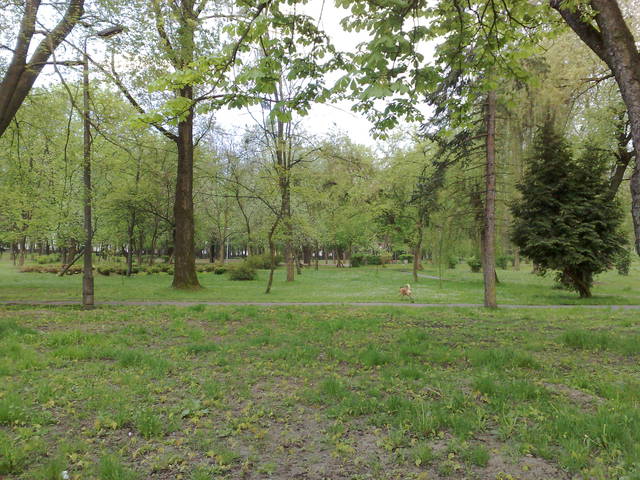 30042014199.jpg - kubana73