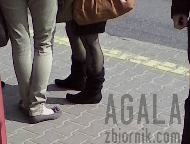 IMG_20140506_145707odj.jpg - AGALA