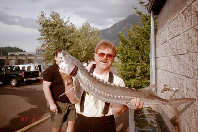 Sturgeon.jpg - MewaMeva