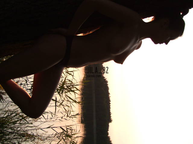 Wila_82