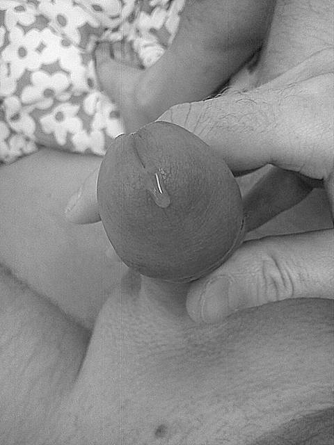 DSC02524bw.JPG - JJ281