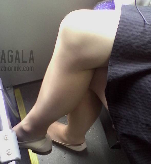 IMG_20140514_145350kl.jpg - AGALA