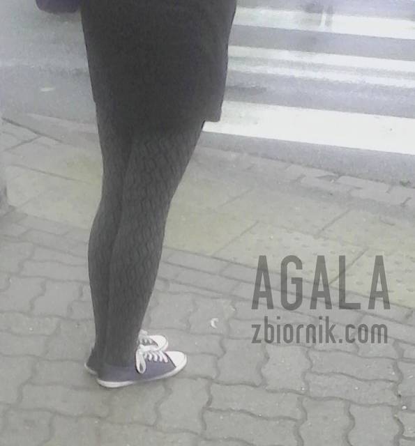 IMG_20140516_062825odj.jpg - AGALA