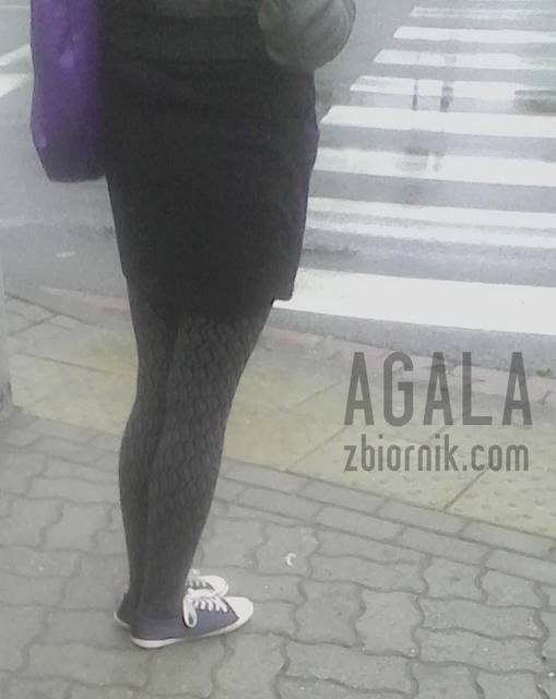 IMG_20140516_062831odj.jpg - AGALA