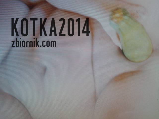 kotka2014
