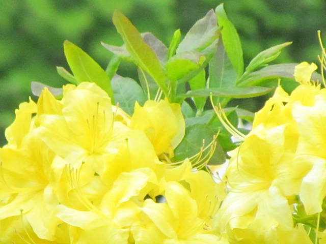 IMG_8518.JPG - wodnik50