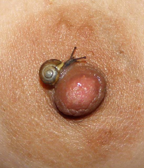 Zdobywanie szczytu!!!! - aga124