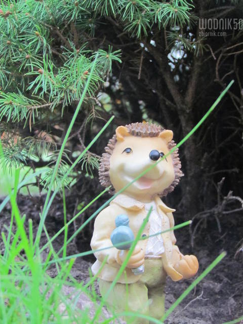 uśmiech dla wszystkicj:))) - wodnik50