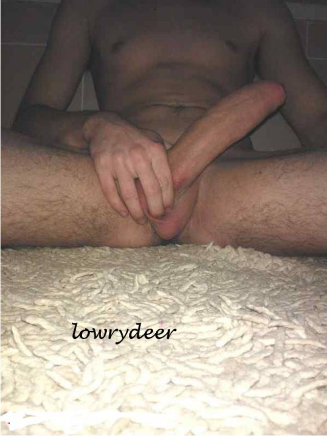 lowrydeer
