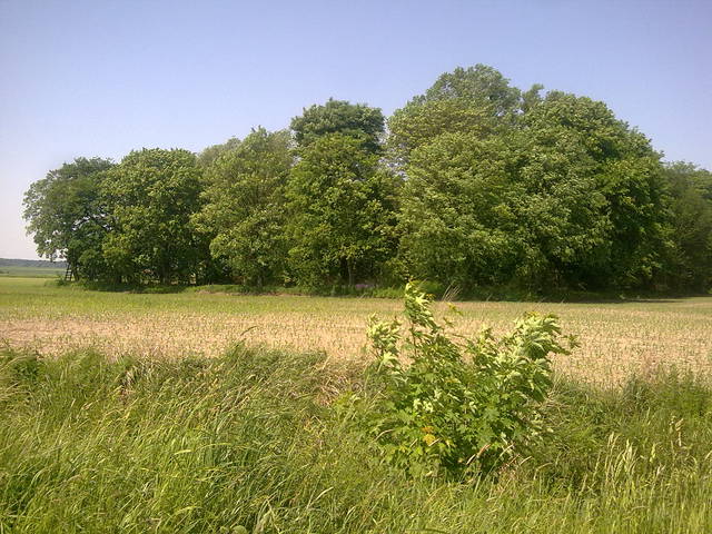 Zdjęcie2196.jpg - 1234pysiol