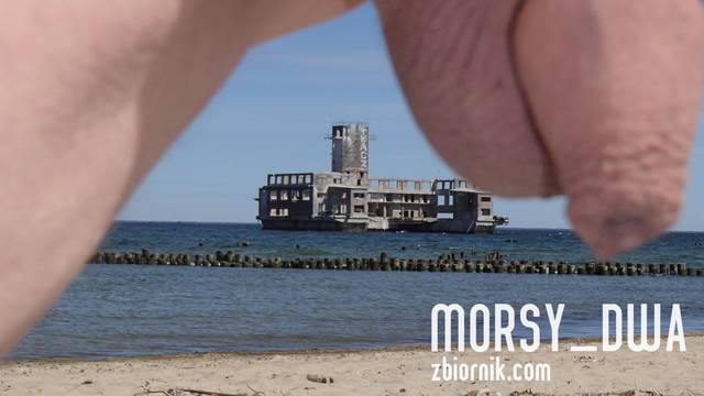 Torpedownia II - Morsy_dwa