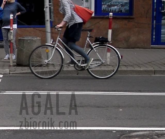 SDC10294kol.jpg - AGALA