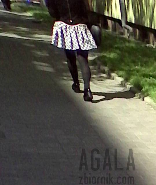 IMG_20140605_143912cz.jpg - AGALA