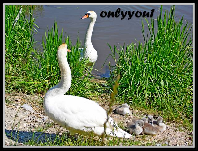 rodzinnie :) - onlyyou1