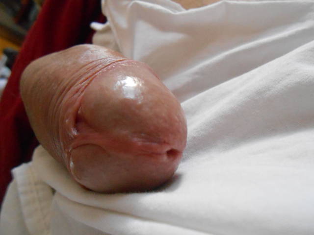 DSCN1471.JPG - remkoss