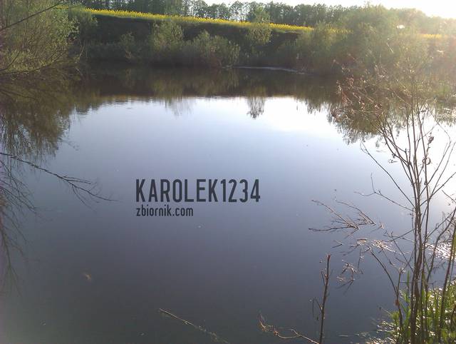 staw z żabami - karolek1234