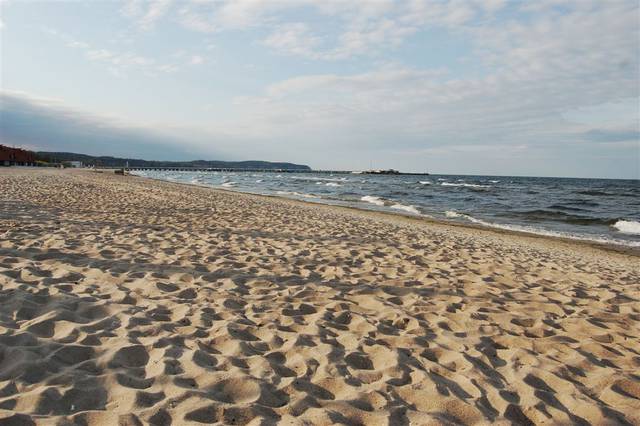 plaża.JPG - too_young_to_die