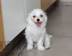 coco 1.jpg