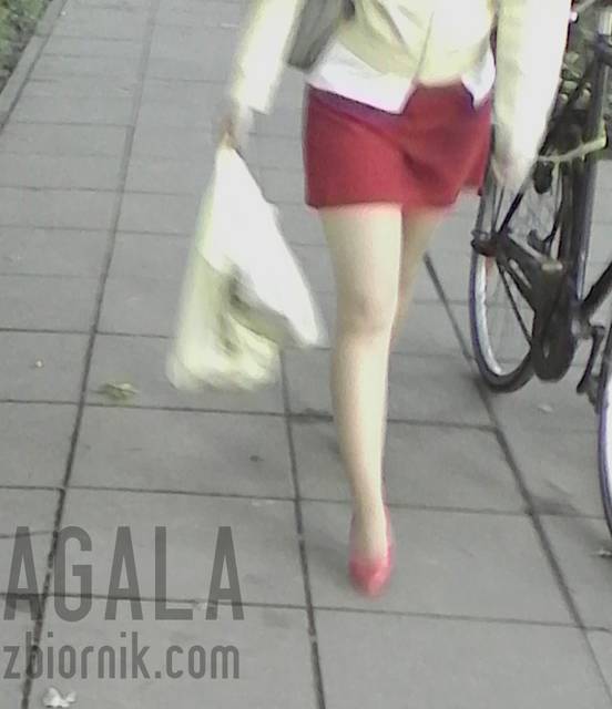 IMG_20140622_192102kl.jpg - AGALA