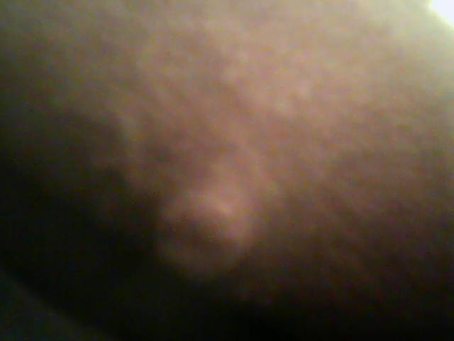 Picture 3.jpg - curious1