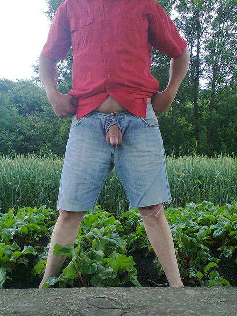 Zdjęcie0097.jpg - ciastek123444