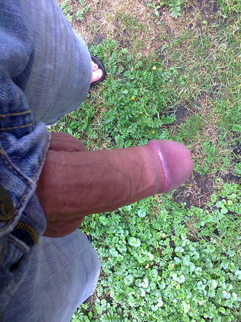 Zdjęcie0098.jpg - ciastek123444