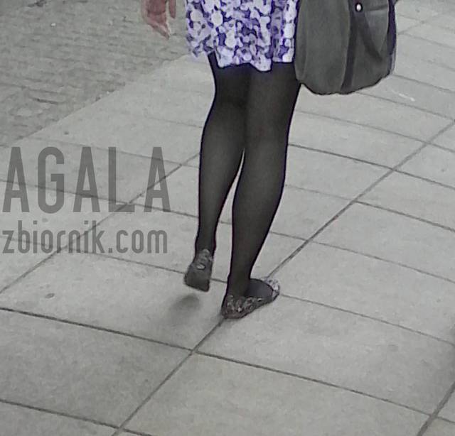 IMG_20140703_133834cz.jpg - AGALA