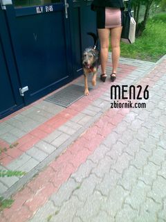 Fajna sunia z pieskiem :)