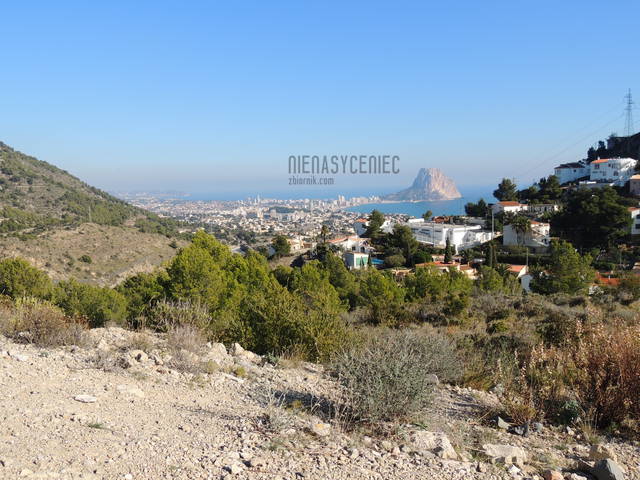 widok .JPG - Nienasyceniec