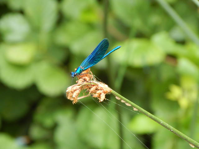 DSCN1148.JPG - 7doctordick7