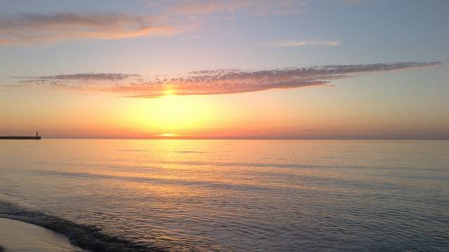 02052013391.jpg - onaion3438