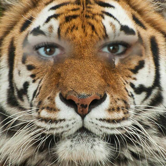 Mrrrr.... - aromatyczna
