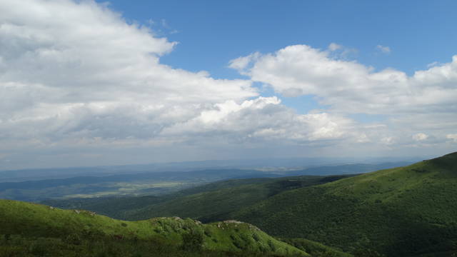 DSC06569.JPG - grzeskce