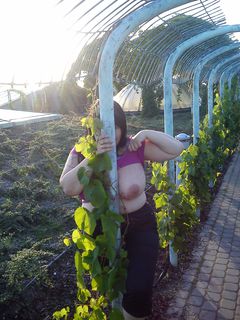 bawimy się w chowanego ?