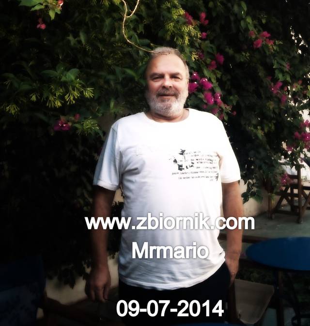 mrmario
