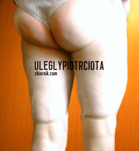 24.jpg - UleglyPiotrCiota