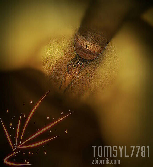 syltom...15 - tomsyl7781