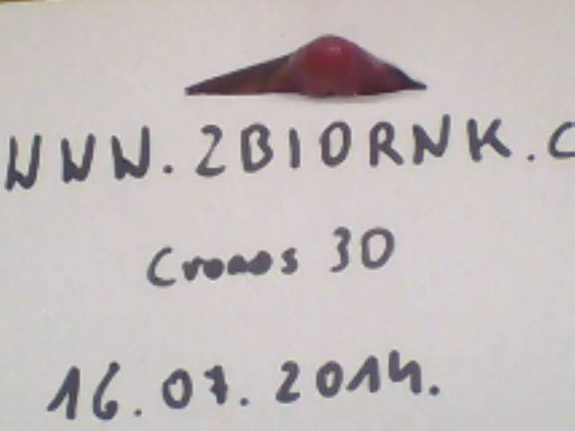 Snapshot_20140716.jpg - cronos30