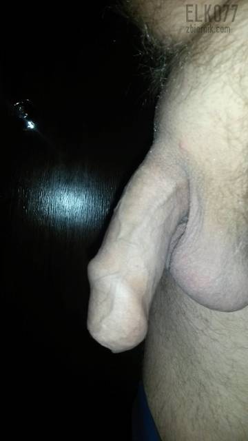 Kutasek......jpg - elko77