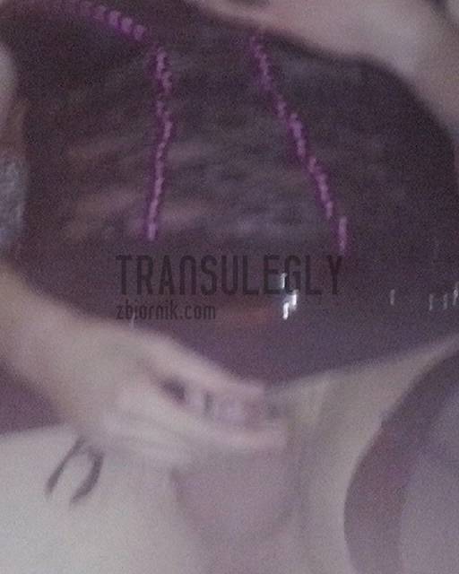 CAM00199.jpg - transulegly