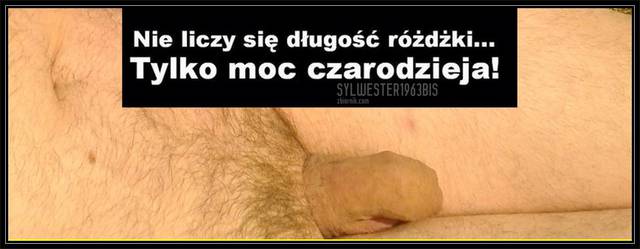 Bez_tytułu_1.2..jpg - sylwester1963bis