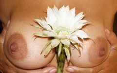 To co kocham w Chorwacji to piękne kwiaty!!!