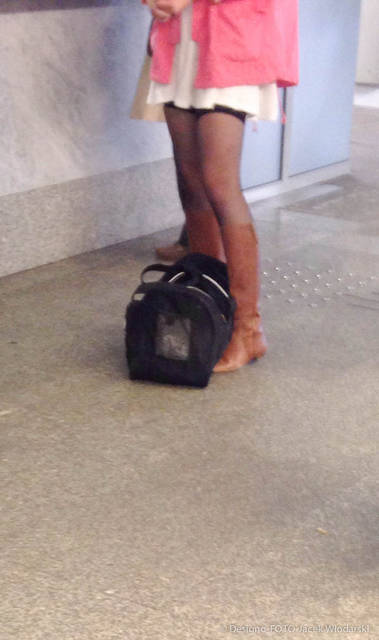 IMG_6943.jpg - NeoN1