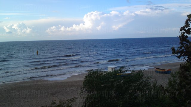 008.JPG - PEWIENPAN72